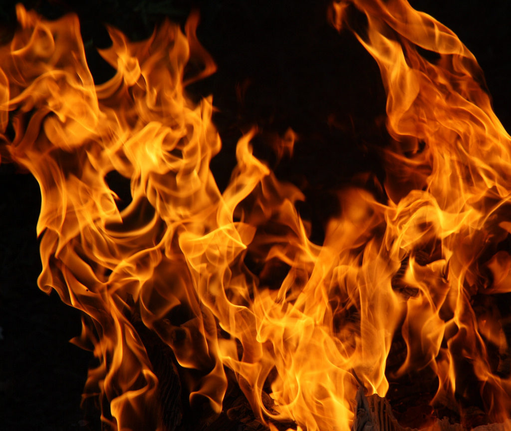 さいたま　占い　干支九星　九紫火星